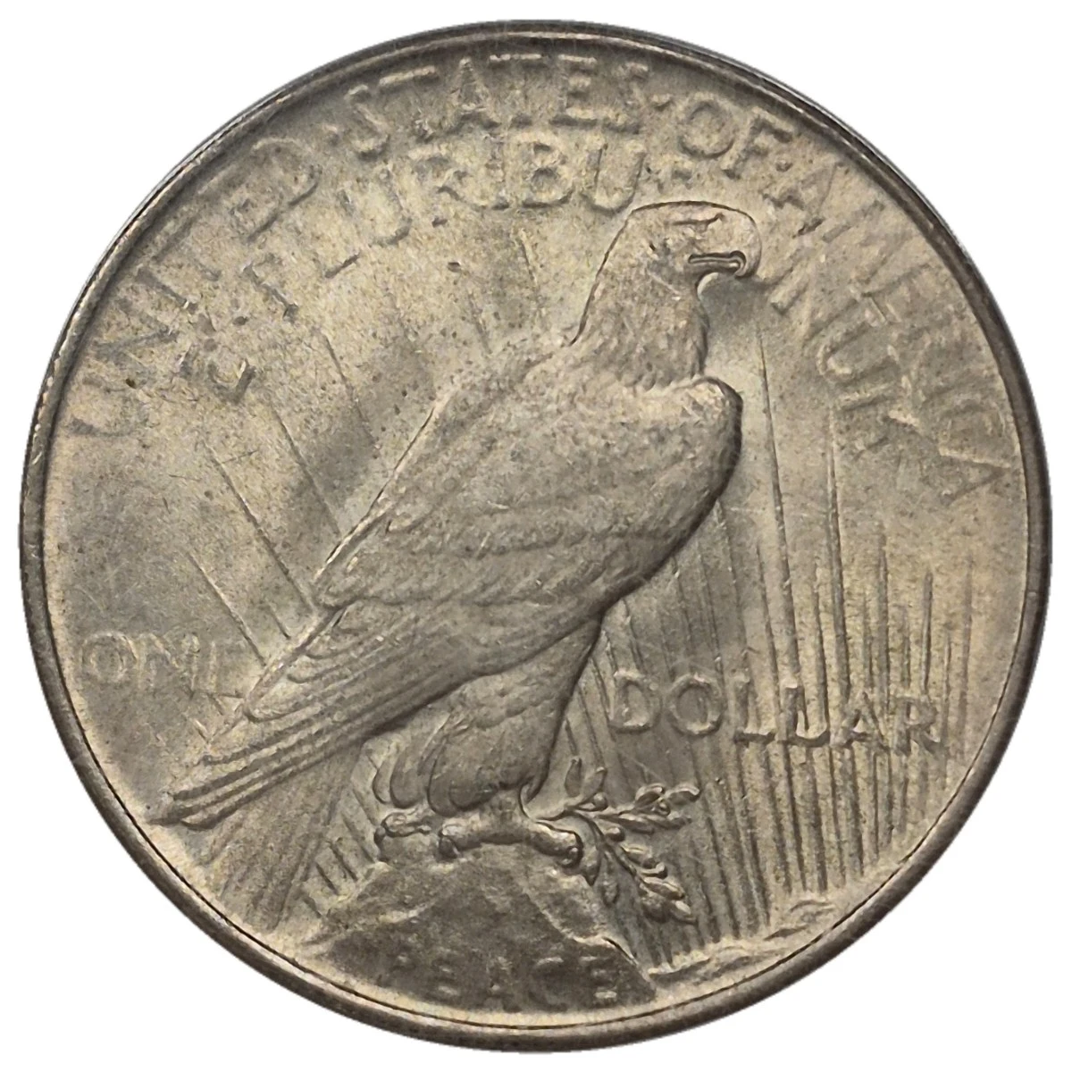 1922 1 Peace Dollar 38 39 Of 143 Coin Community